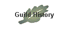 Guild History